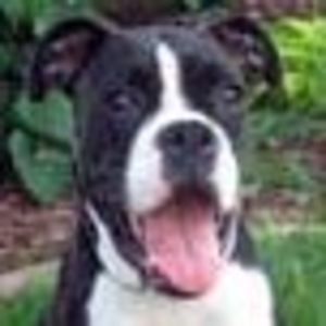 Meet your Posher, Joni